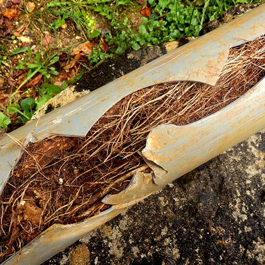 Same Day Drain Sewer & Rooter Pros Across Waterville Valley